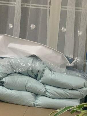 富安娜米菲尔·轻潮超柔鹅绒冬厚被 绿一个月后开始后悔了诉说原因