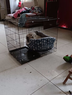  狗笼