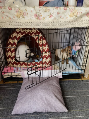 狗笼