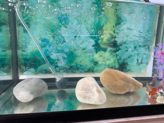 鱼缸氧气泵