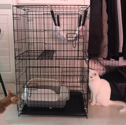 猫笼