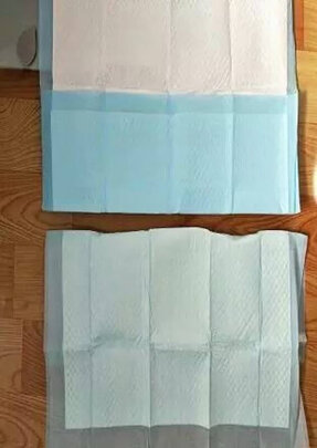宠物纸尿裤