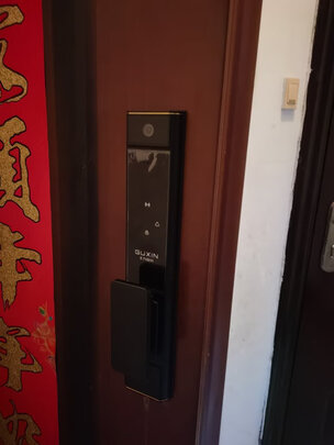 智能锁|王力X6PLUS智能锁怎么样？内幕使用评测揭秘