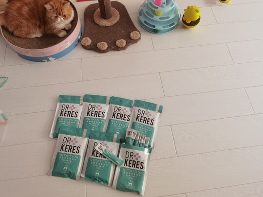 猫条猫零食