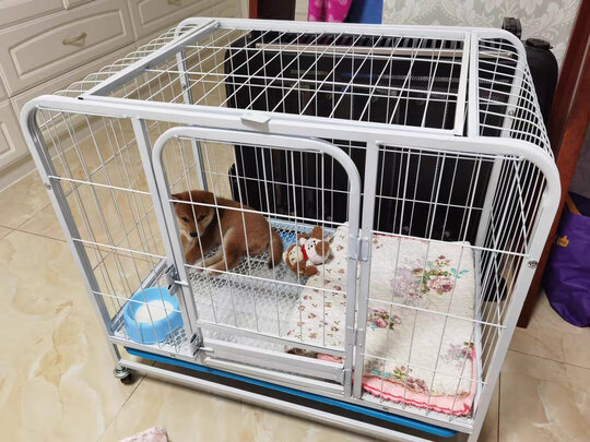  狗笼