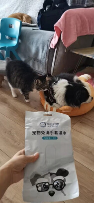 宠物湿巾