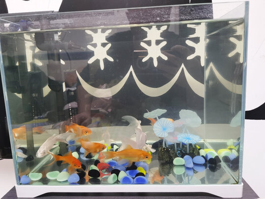 桌面鱼缸