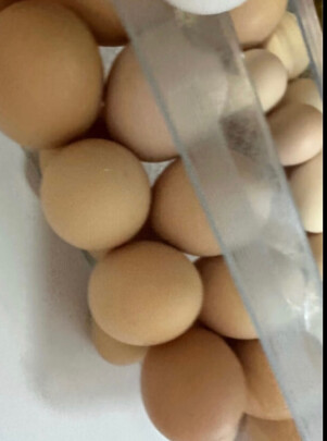 图片[3] - 请问农家散养土鸡蛋好不好吃？ - 淘实惠