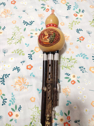 乐器葫芦丝