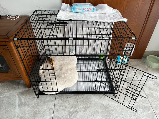  狗笼