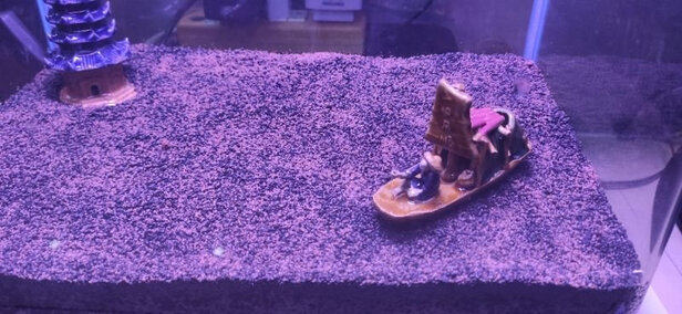 水草泥