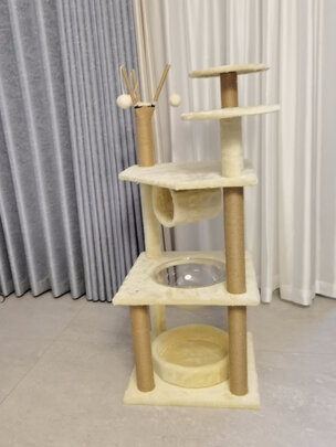 猫爬架