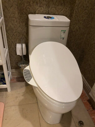 智能马桶|参考剖析科勒28866T 齐悦连体马桶+18659智能马桶盖怎么样?深度测评剖析