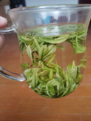 安吉白茶