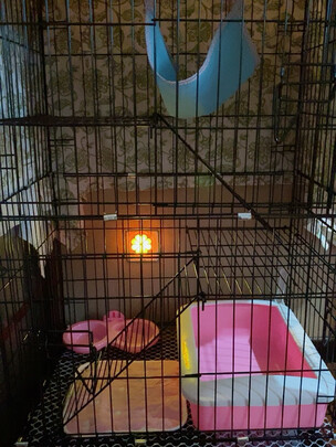  猫笼
