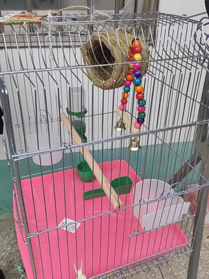 鸟笼