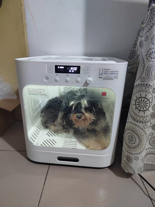  宠物烘干箱
