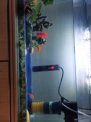 鱼缸加热棒