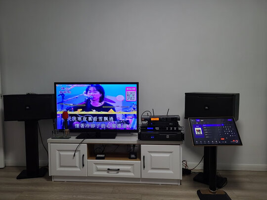 JBLKM310LE一个月后开始后悔了诉说原因