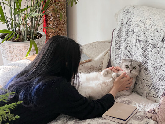 猫抓板