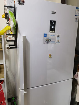 %title插图%num 倍科(BEKO)553双门两门冰箱二门风冷无霜节能大容量 轻奢欧式风 蓝光恒蕴养鲜电冰箱 欧洲进口CN160220IW