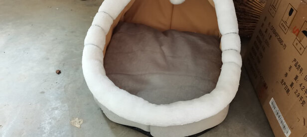 猫窝