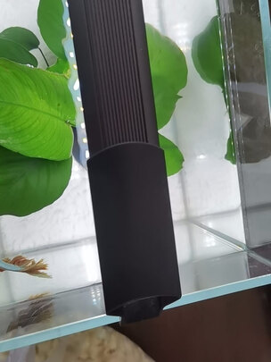 鱼缸水草灯