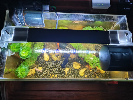鱼缸灯led灯