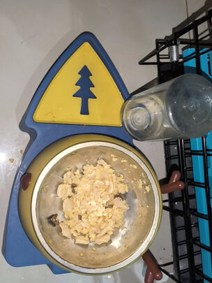 宠物饮水机