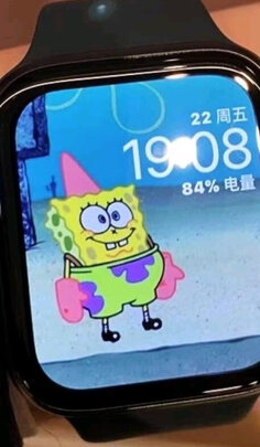 AppleApple Watch SE选择误区，需要注意这五点