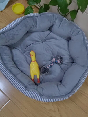 狗窝