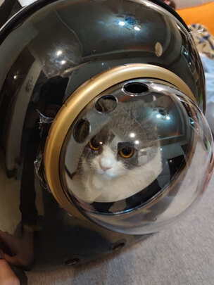 猫包