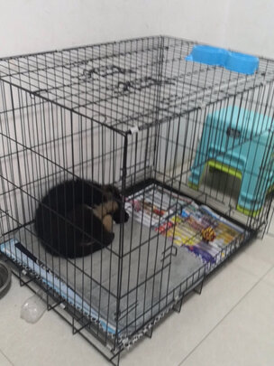 狗笼
