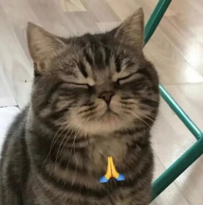 猫粮罐头