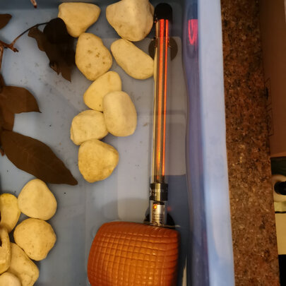鱼缸加热棒