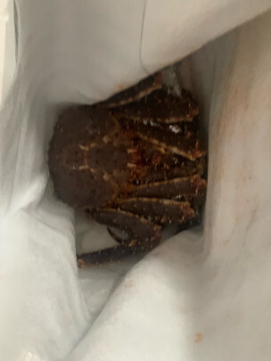 图片[1] - 海鲜达人帝王蟹6.2-6.7斤鲜活发货好不好？ - 淘实惠