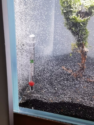 鱼缸温度计