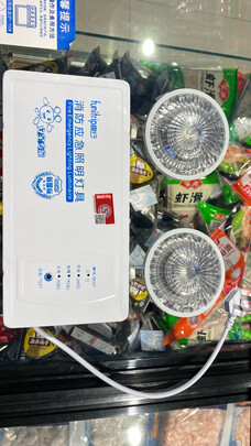 消防应急灯