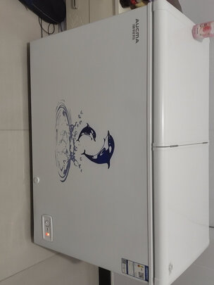 冰柜|澳柯玛BC/BD-306NE冰柜到底怎么样，参数如何！