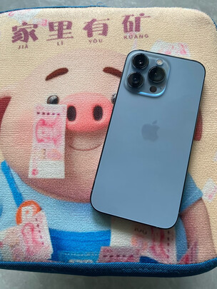 AppleiPhone 13 Pro质量诉说体验后讲一讲感受