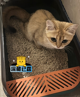 猫砂盆