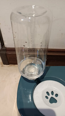 猫碗狗碗