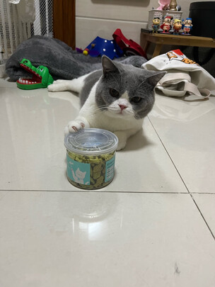 猫零食
