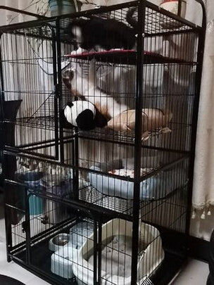  猫笼