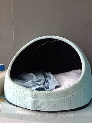 猫窝