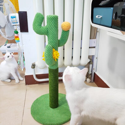 猫爬架