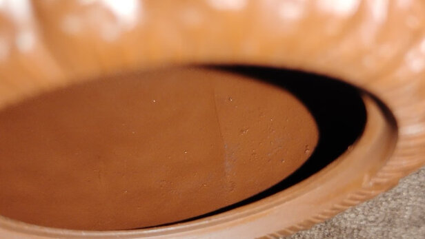 吉羊大红袍金蟾西施极度喜欢感受反馈