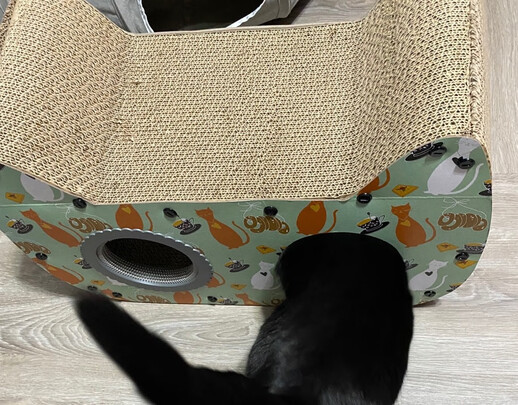 猫窝