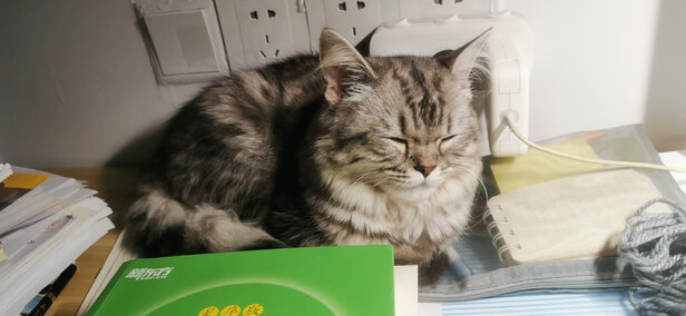  猫咪剃脚毛器