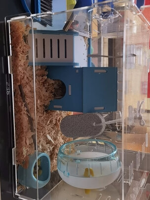 仓鼠水壶